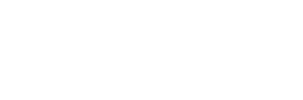 Datavid